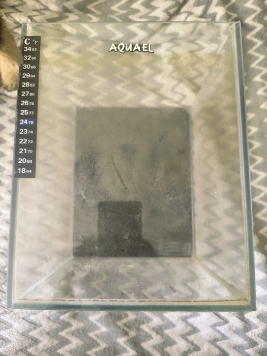 Kostka Aquael   .