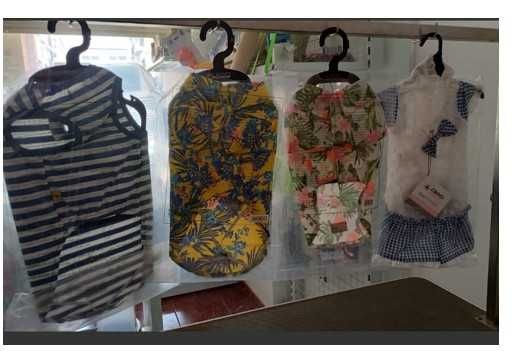 Roupas para Cães — Conforto, Estilo e Carinho num só look!