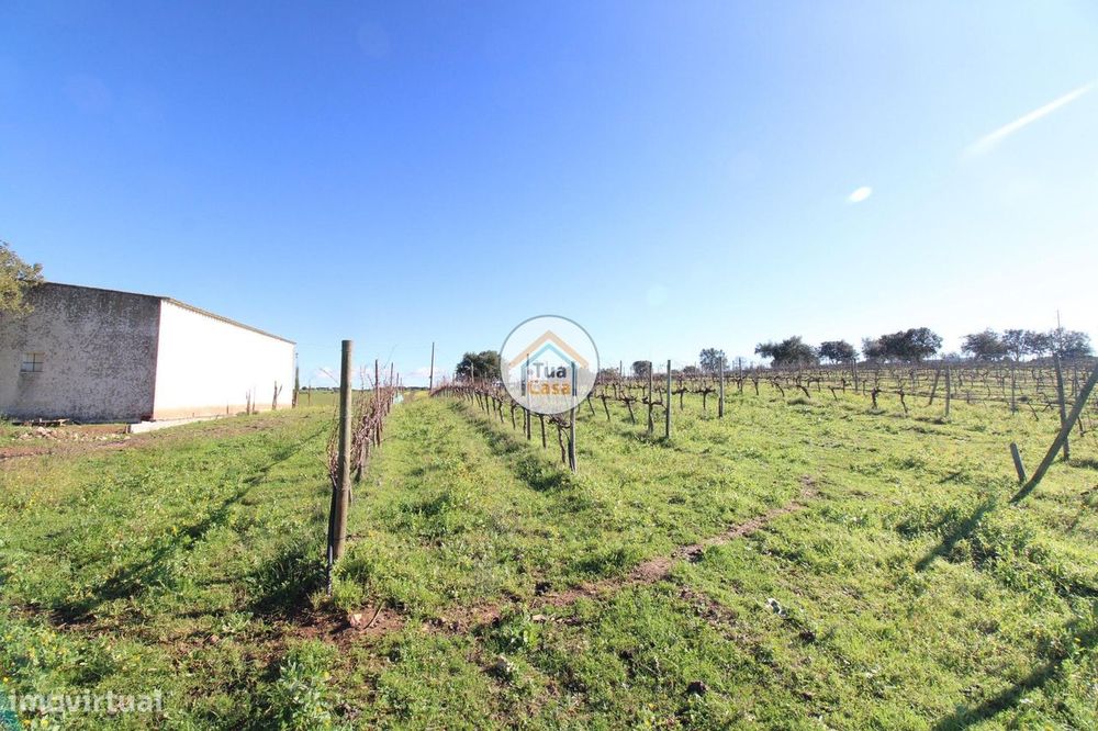 Terreno com Área de 43.750m2, Implantação Urbana até 500m2 e 36000m2 d