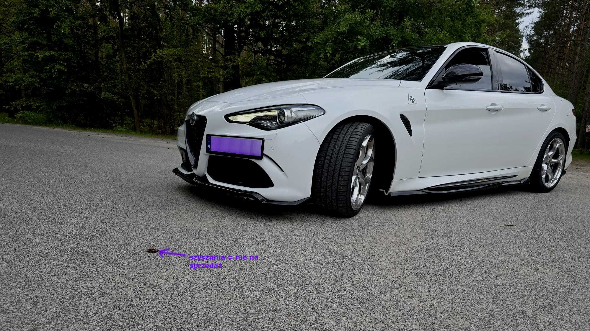 Quadrifoglio Giulia  xpipe maxton eurocompulsion nie rs5 m4 m3 rs7 amg