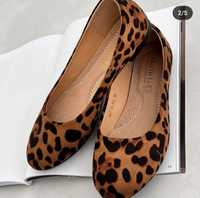Балетки туфлі леопардові хіт сезону