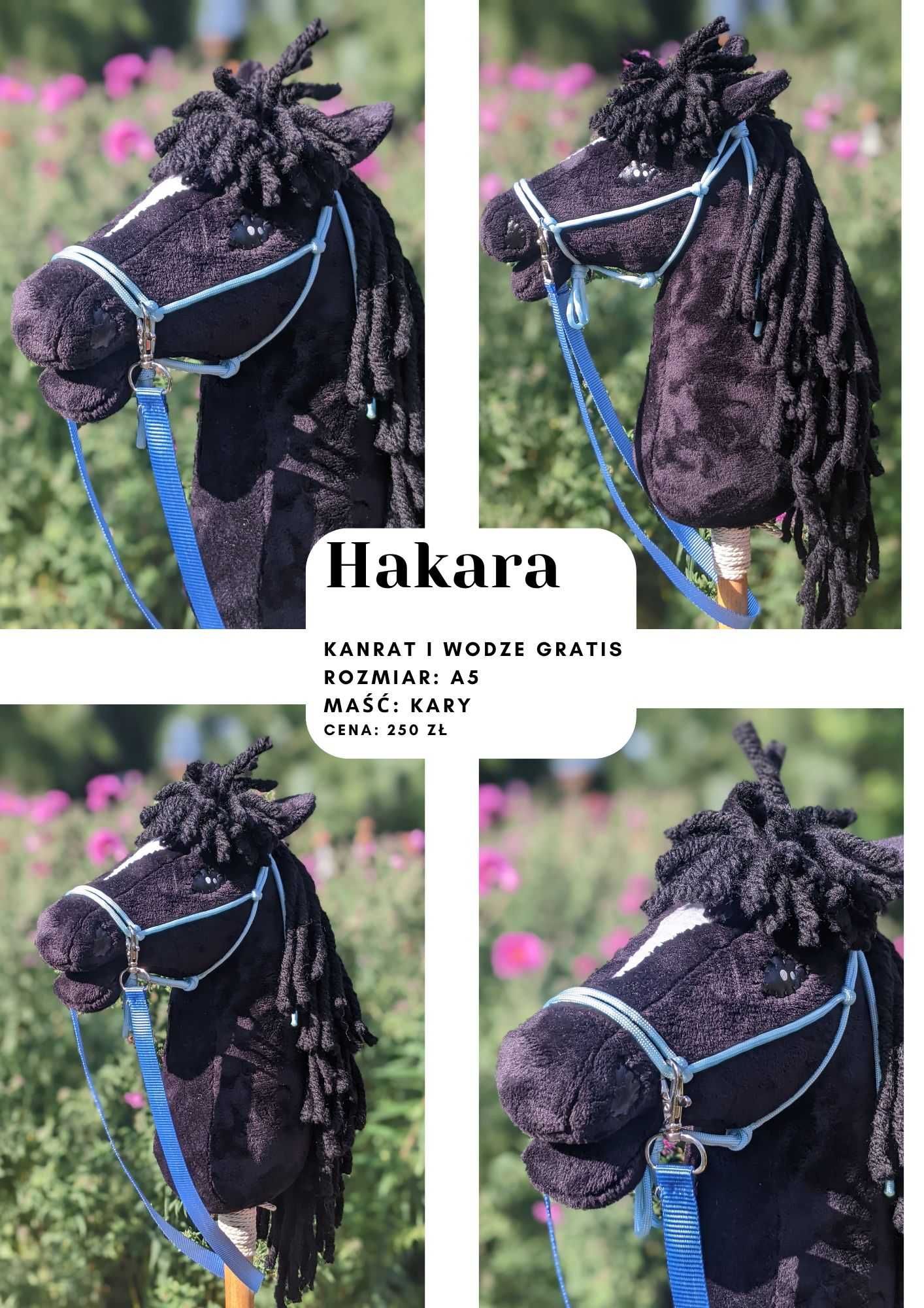 Hobby horse - konik w rozmiarze A5, czarny, kary
