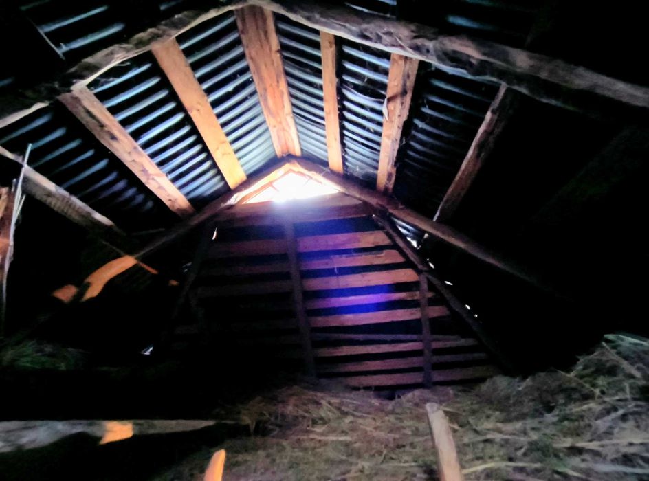 Дім 63 м2 українська хата піч Дмитрушки 2 км Умань 53 сотки + 18 соток