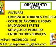 Limpeza de terrenos entre outros serviços