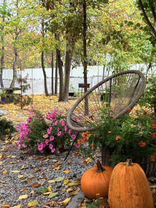 Оренда будинка подобово, будинок київська обл, аренда дома посуточно