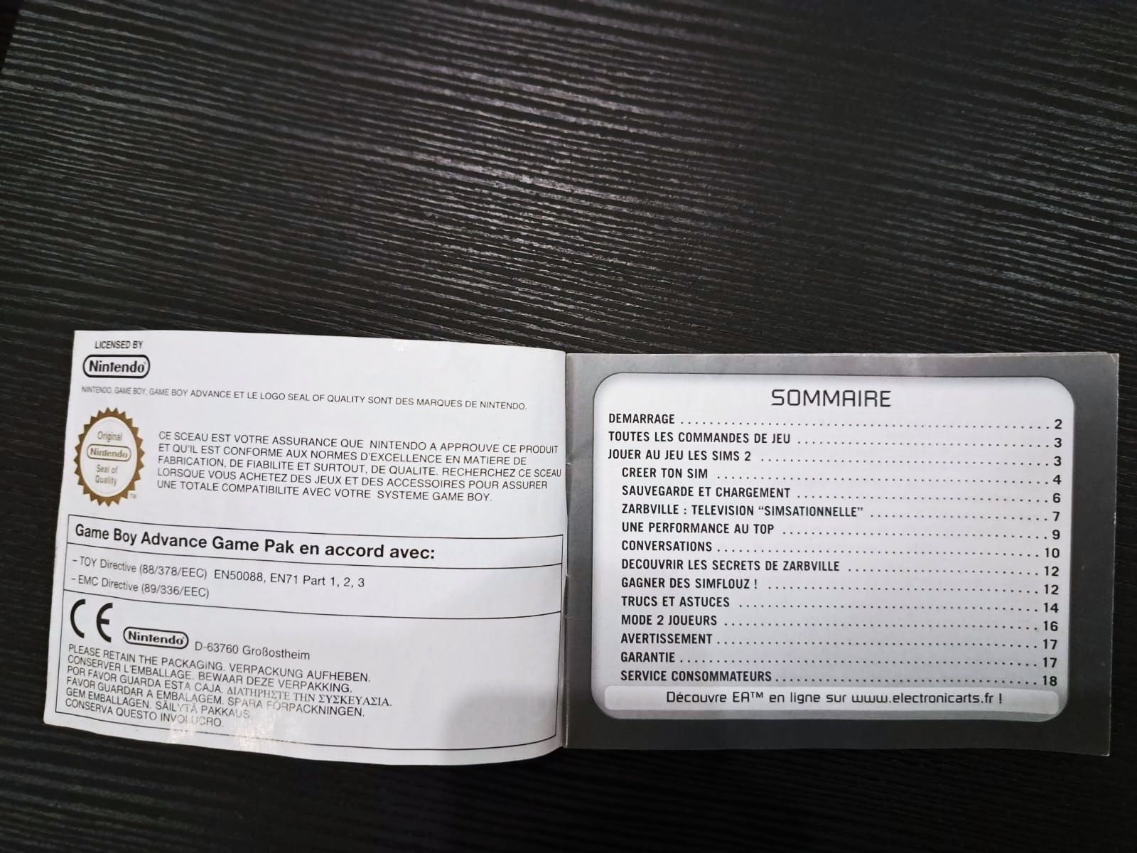 Manual para Gameboy Advance - The Sims 2