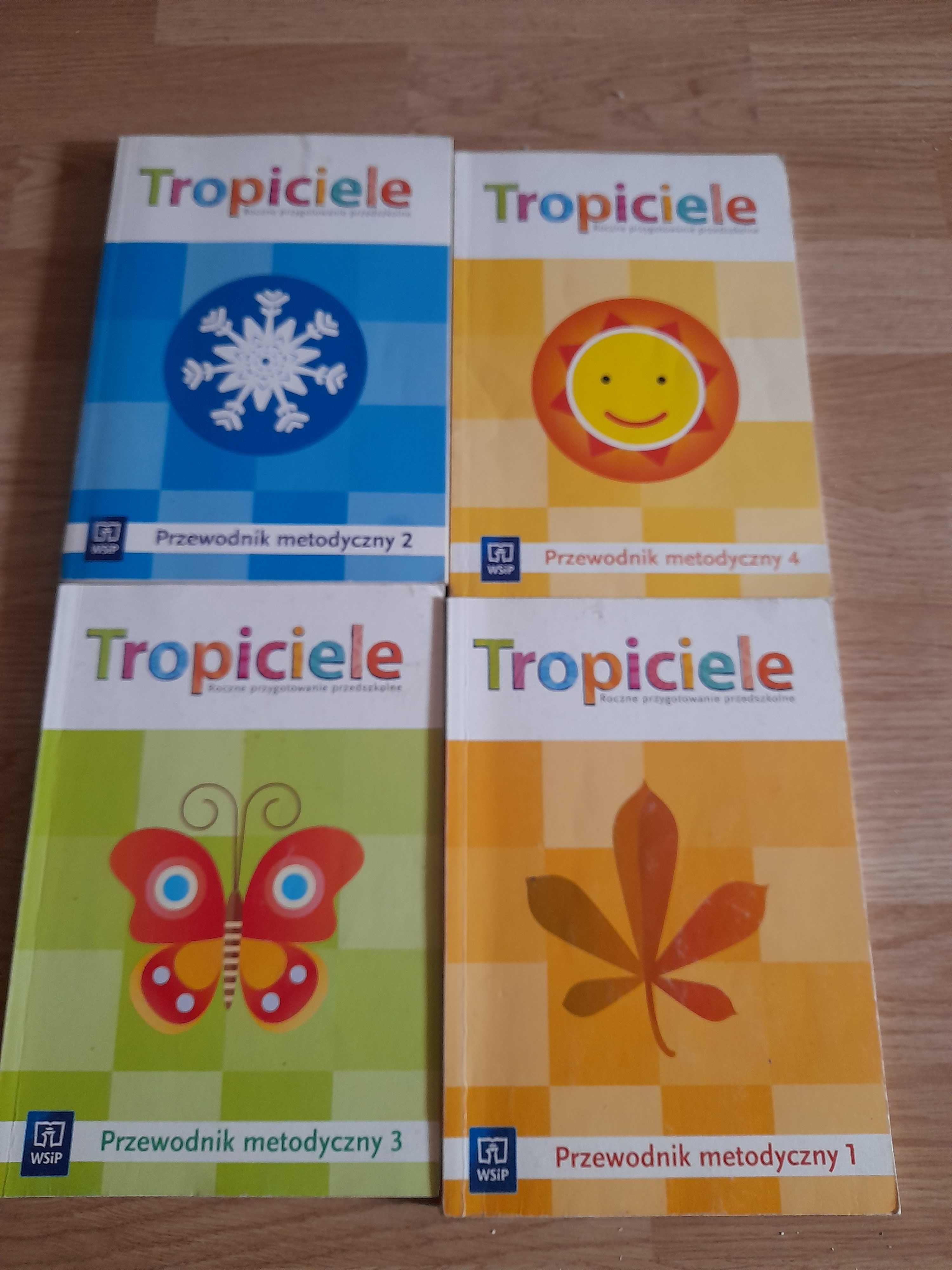 Przewodniki roczne przygotowanie przedszkolne Tropiciele Wsip