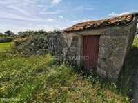 Terreno com poço e casa registada na Lardosa, Castelo Branco
