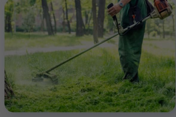 Limpe seu terreno seu jardim ,” promoção “