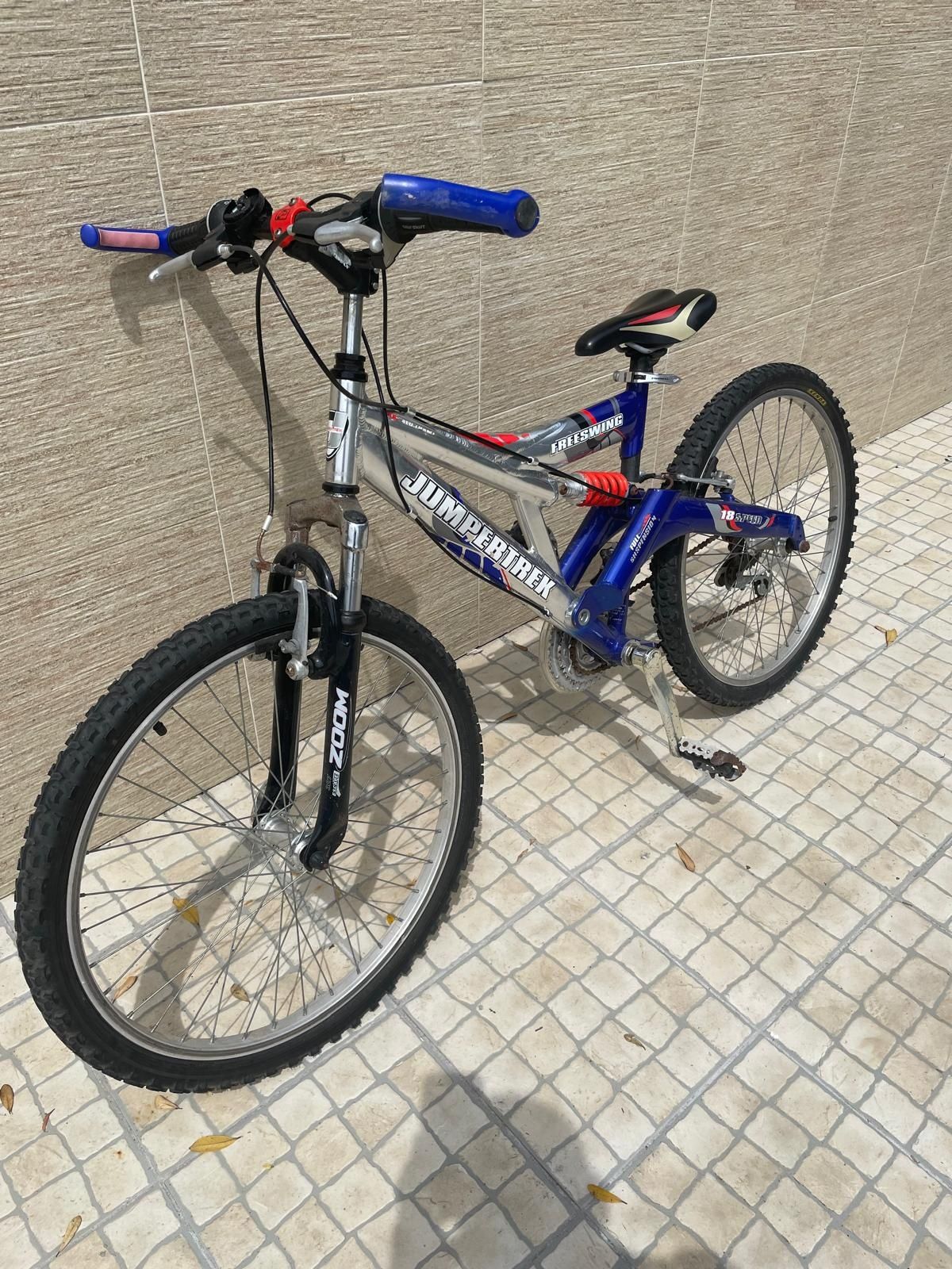 Bicicleta adulto