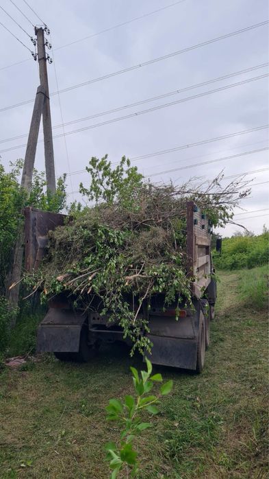 Спил дерев,обрізка гілок,прибирання території.