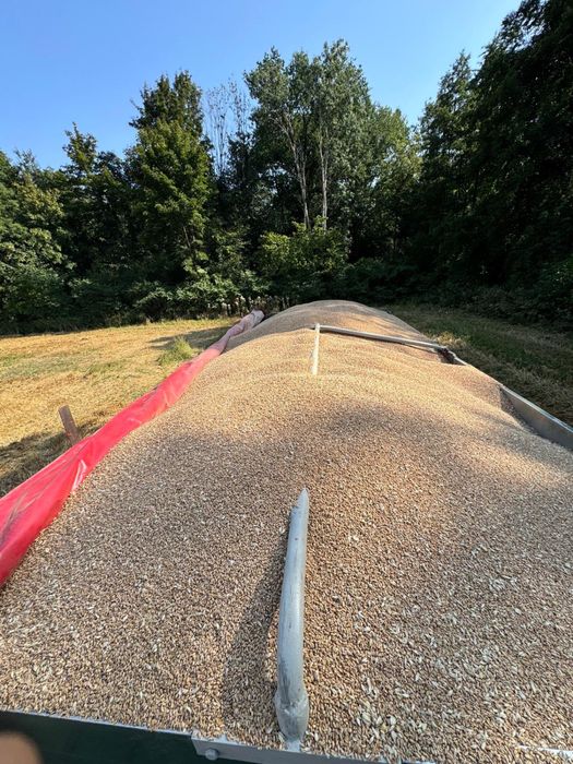 Przyczepa rolnicza  wellmeyer HL, HW