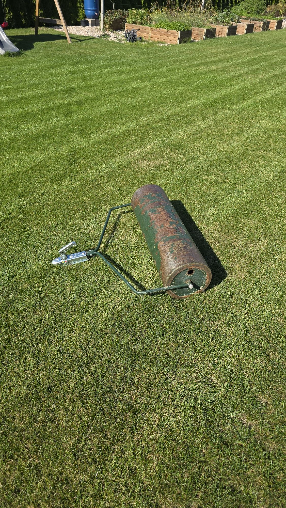 Aerator wertykulator z koszem walec wynajem wypożyczenie