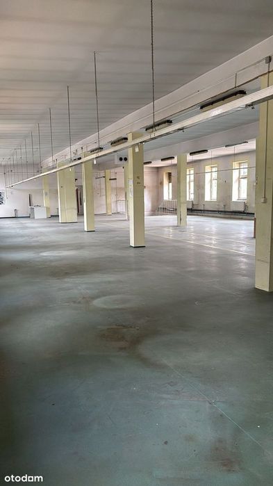 Hala produkcyjna/Magazyn na wynajem