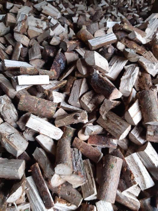 Drzewo drewno opałowe kominkowe  brzoza Dąb na następny sezon grzewczy