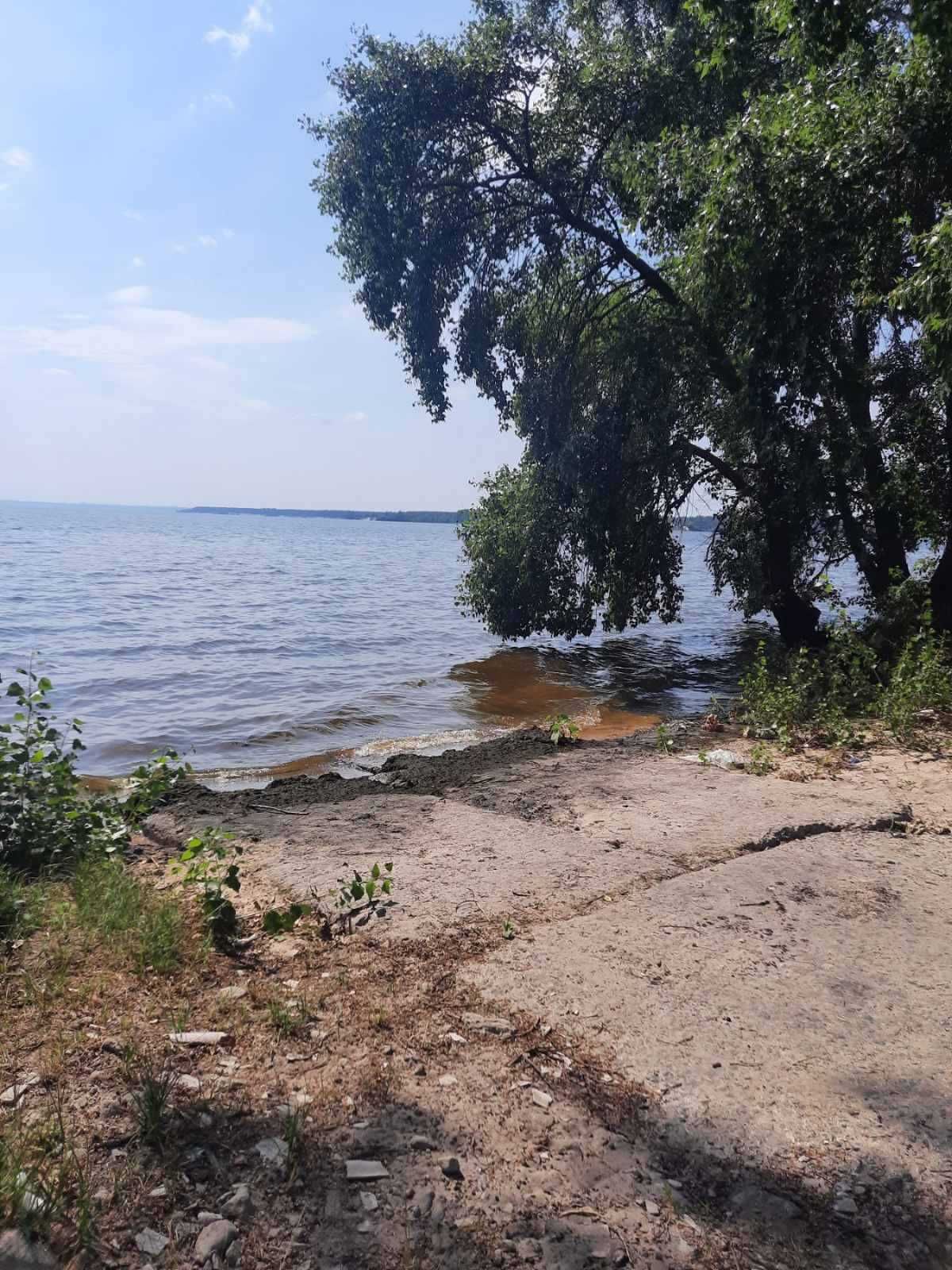 Вихід до води, Козаровичі, 120 соток, для садівництва.  Гарне місце