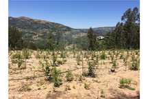 Terreno  para venda
