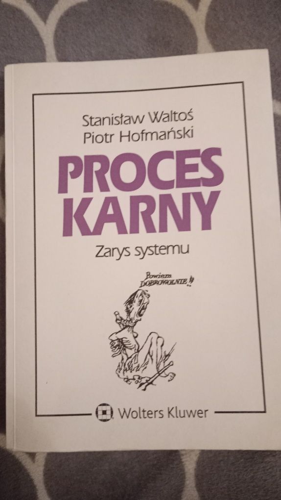 Proces karny. Zarys systemu. Waltos, Hofmanski