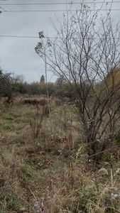 промислова земля  1,9777 га, м. Шепетівка, вулиця Пекарська