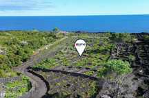 Terreno de vinhas com 2835m2, em São Caetano na Ilha do Pico
