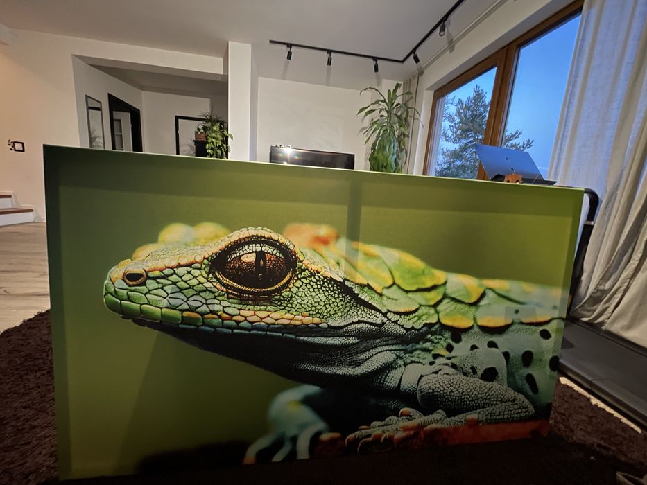 Obraz z jaszczurką 140x80
