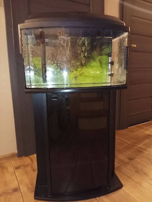 Akwarium dla rybek z szafką 60x24x36 + dodatki