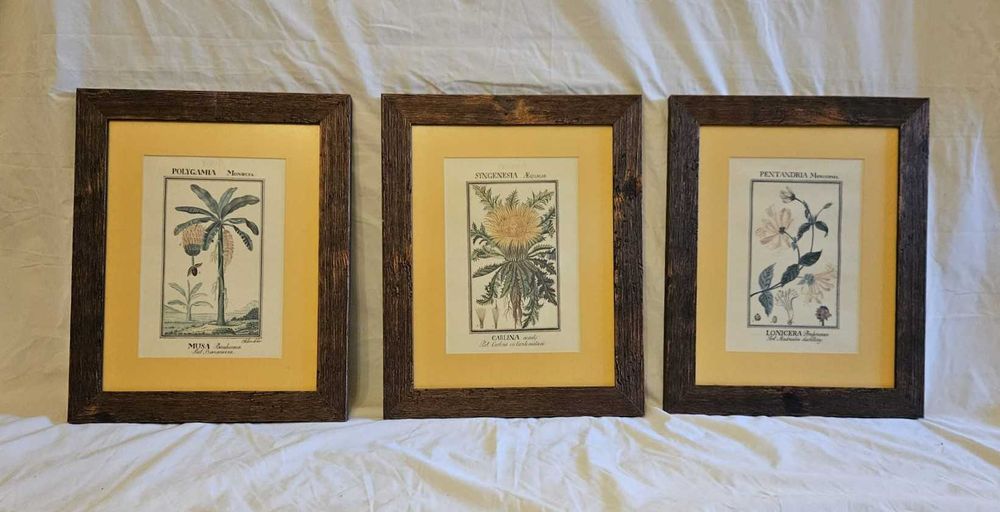 Quadros com motivos florais exóticos