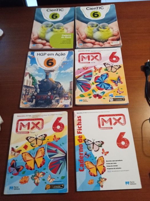 Livros e cadernos de atividade 6 ano