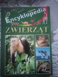 Encyklopedia zwierząt