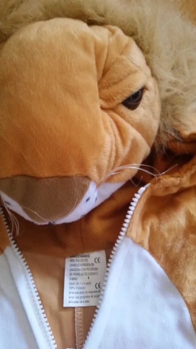 Disfarces carnaval Sevilhana, Noddy, Leão, Espantalho