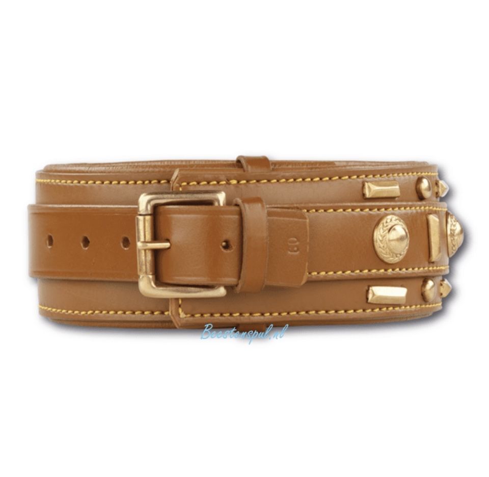 Нашийник для великих собак Doxtasy – Halsband – Glorious Tan