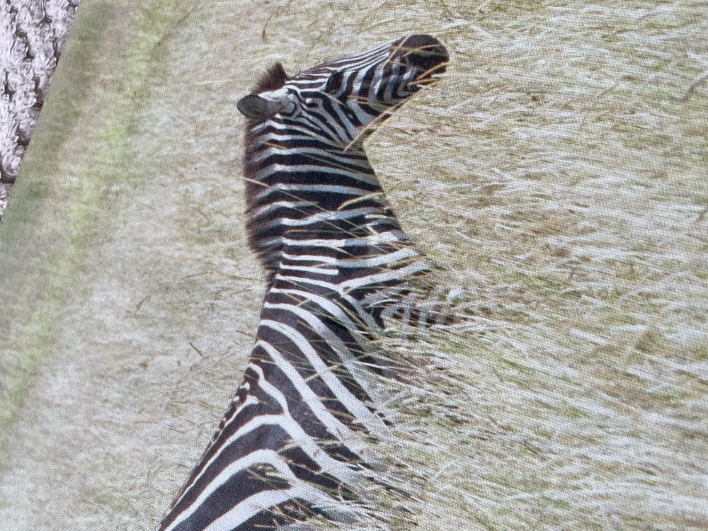 obraz "Zebry" 90x30