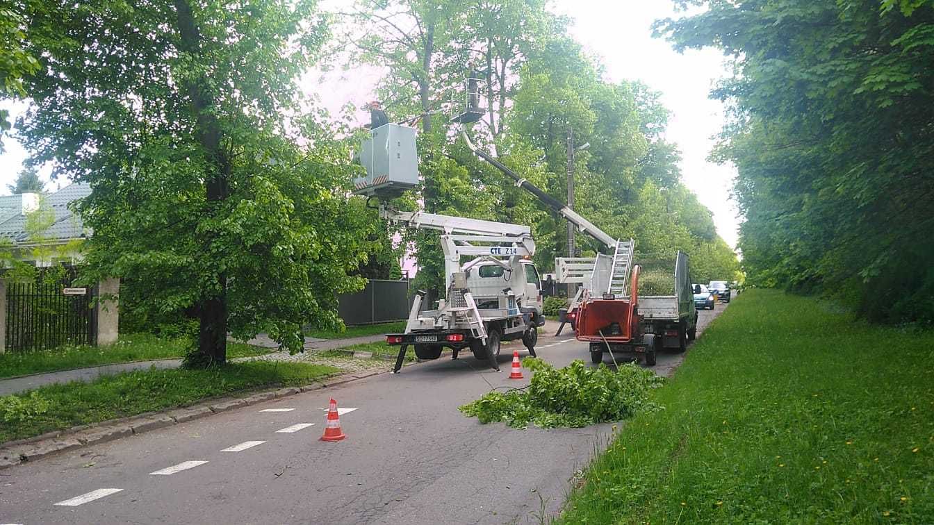 Czyszczenie działek, rekultywacja, mulczer leśny, karczowanie, wycinka