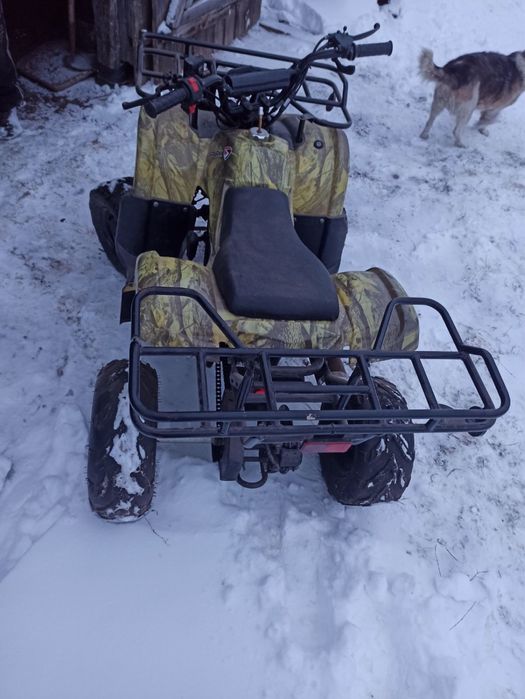 Квадроцикл Spark SP110 2x4