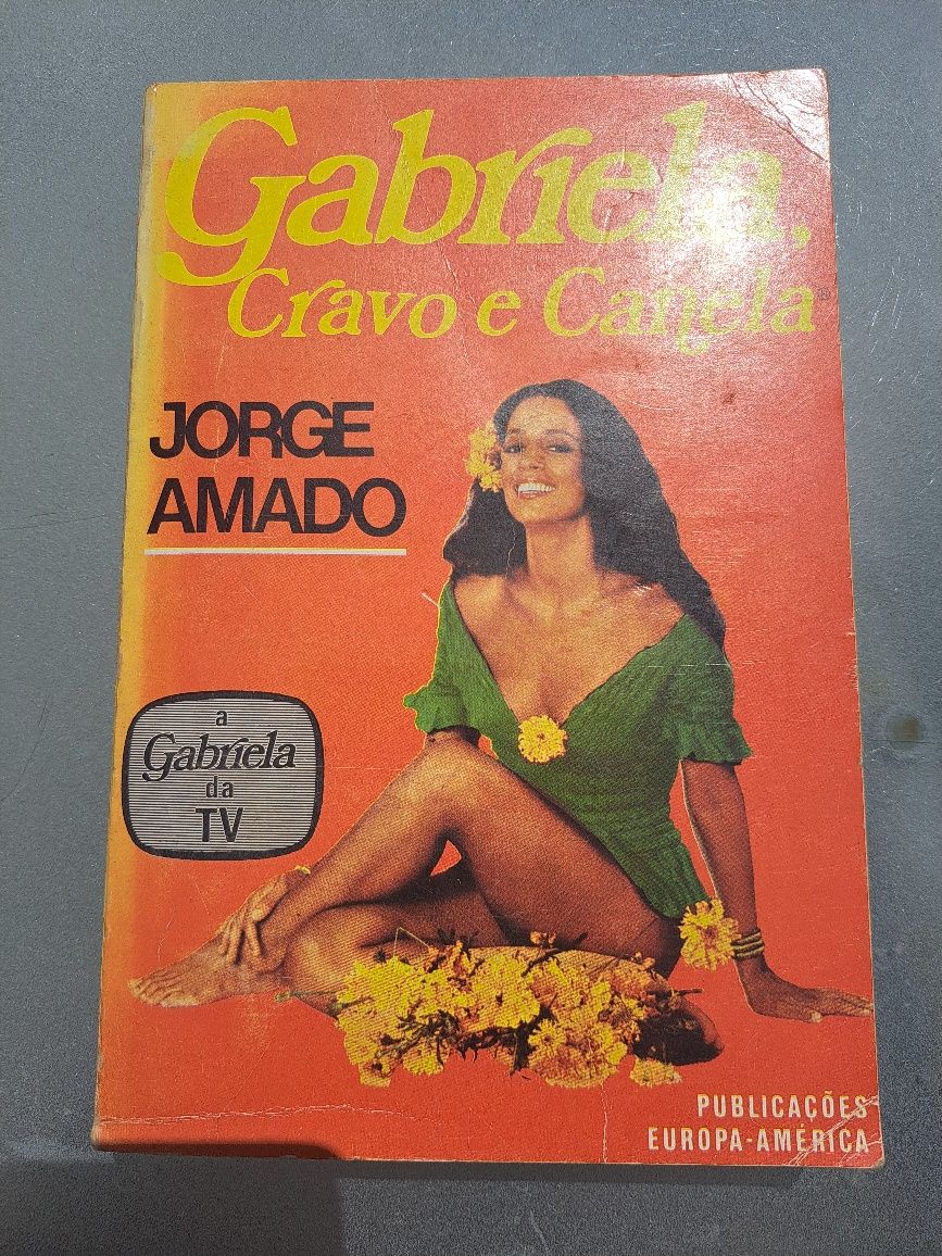 Livro Gabriela Cravo e Canela