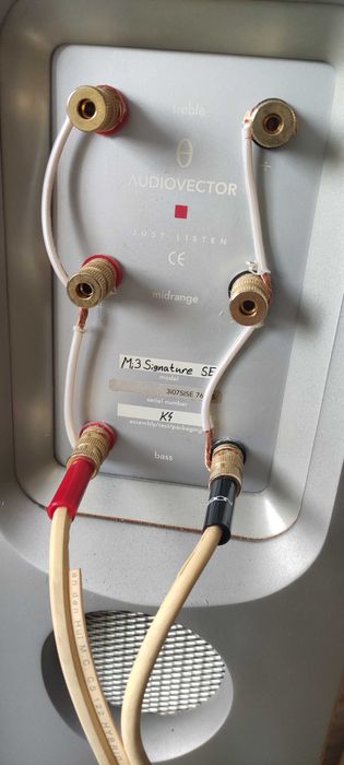 Audiovector Mi3 Signature SE  / Świetny sprzęt !