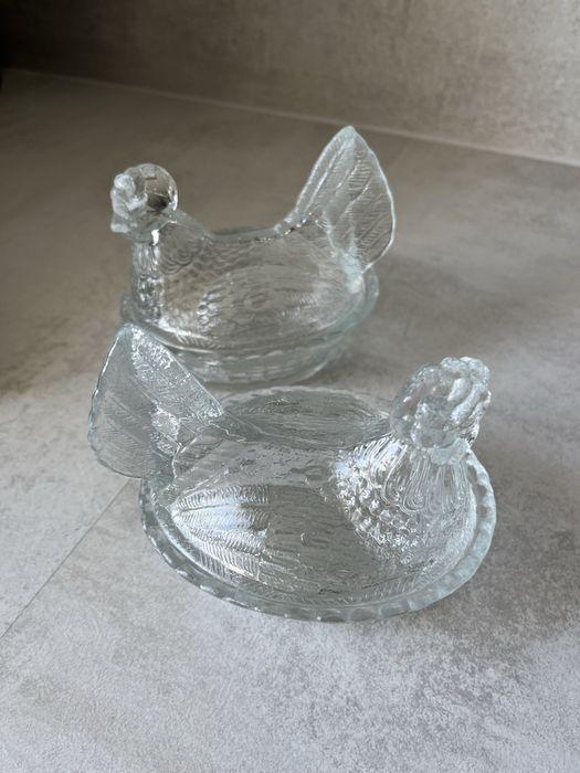 Kury bomboniery HSG Ząbkowice 250 zł sztuka