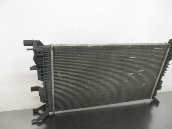 Radiador de água RENAULT Scénic III (JZ0/1_)
