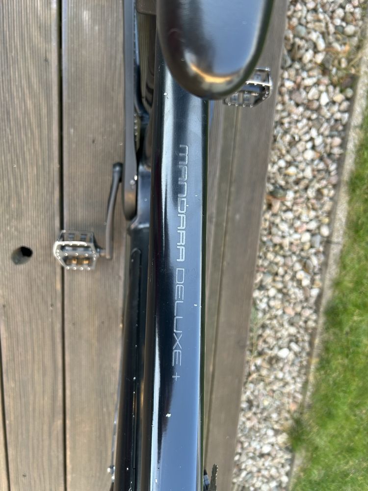 Diamant Mandara Delux + rower elektryczny