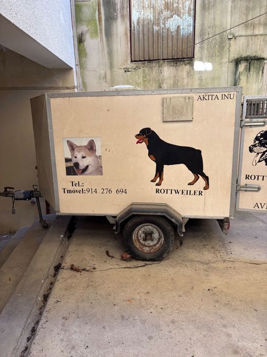 Transportadora de cães