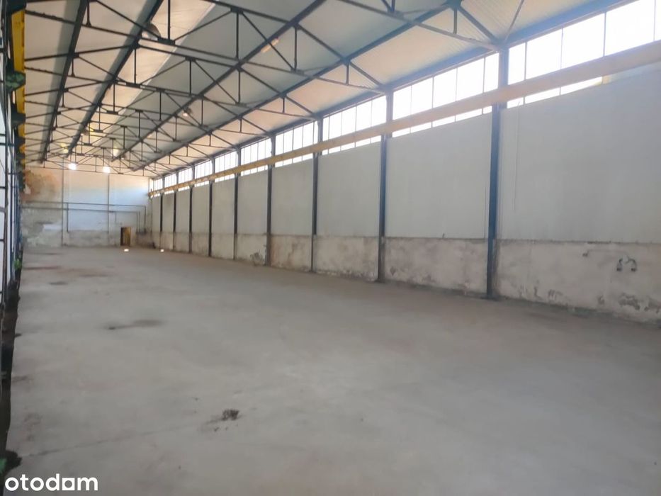 Hala magazzynowa 660 m2_Nowa Sól