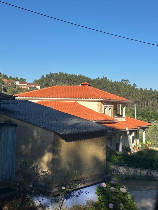 Limpeza de telhados