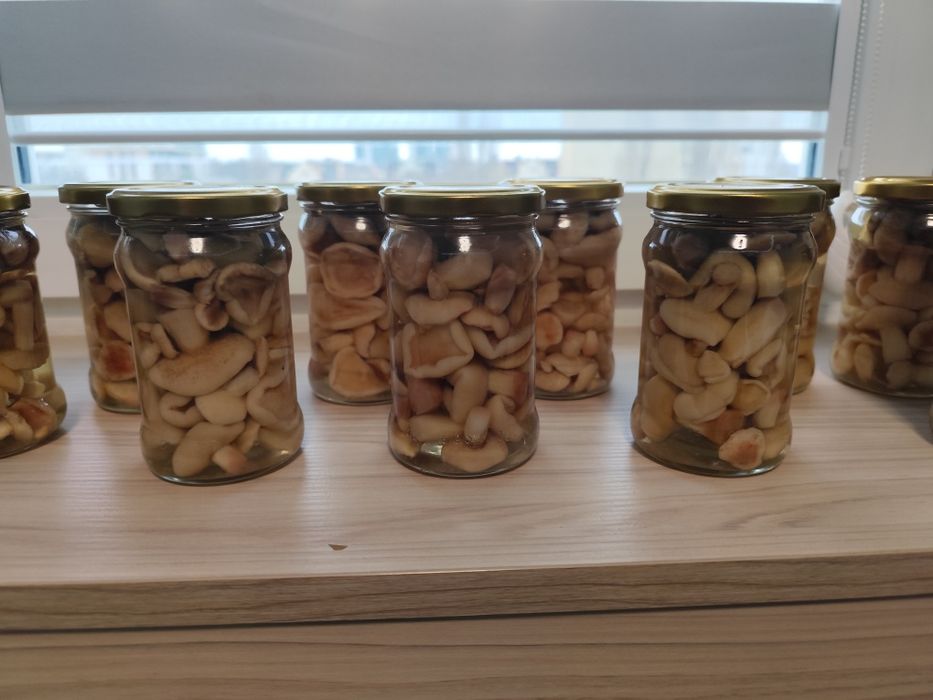 Grzyby marynowane prawdziwek, maślak, rydze, gąski, grzyby suszone