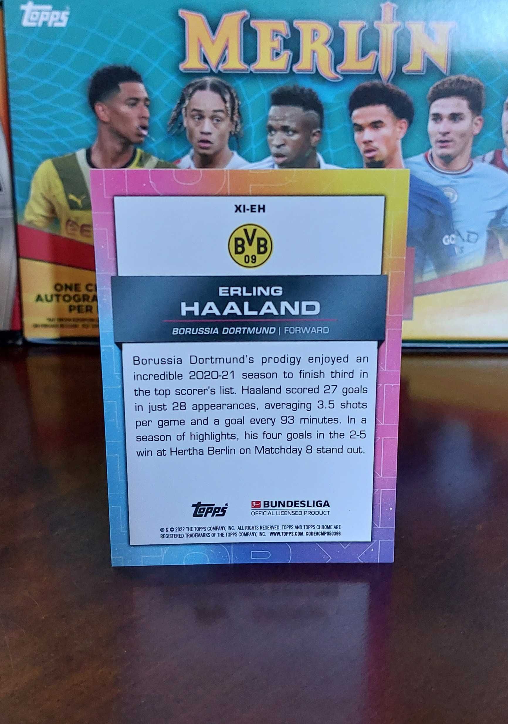 Erling Haaland - Borussia Dortmund