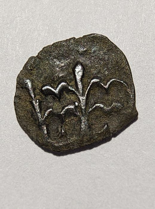 Władysław Warneńczyk, denar.