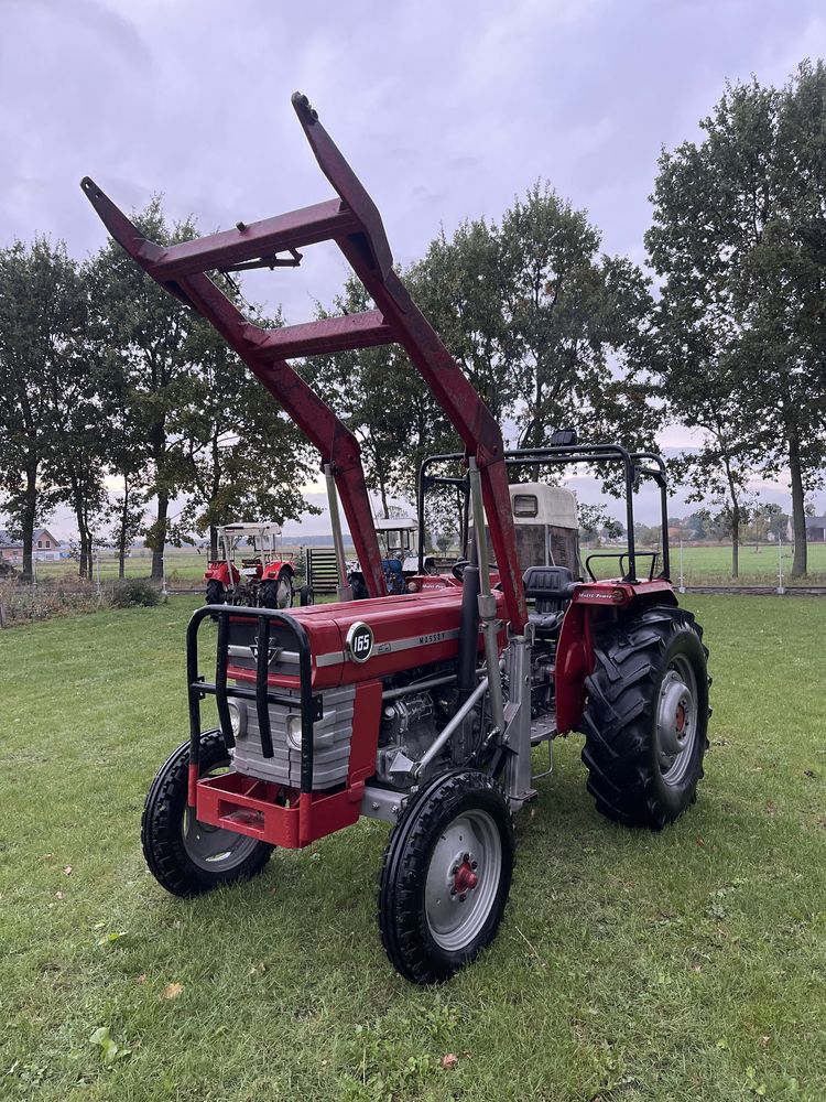 Massey Freguson 165 z turem