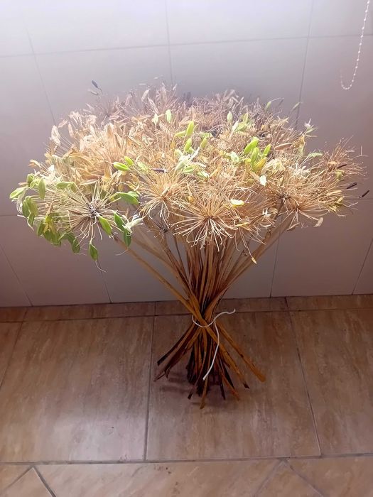 Ramos de flores secas longos para jarra ou jarrao