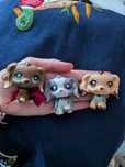 Lps wymiana wymienię littlest pet shop modele figurki kolekcjonerskie