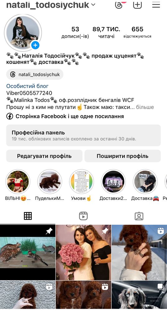 Різноманітні таксулі. Вакциновані