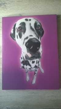 Obraz z psem dalmatyńczyk fioletowy